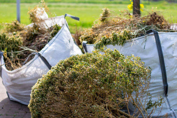 Best Yard Cleanup Services  in Oxon Hill, MD